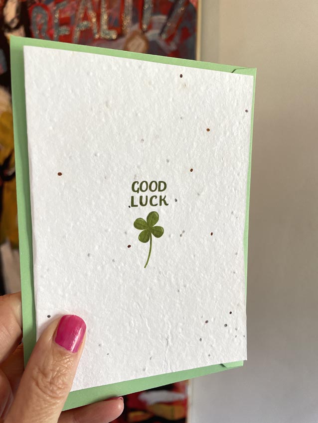 four leaf clover plantable good luck