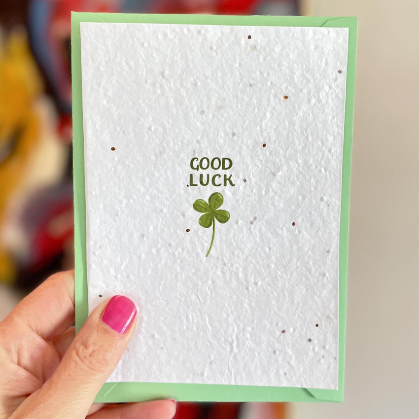 four leaf clover plantable good luck